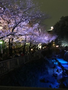 石神井川