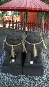 浅草神社_夫婦狛犬