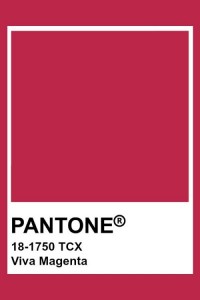 pantone202318-1750